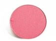 MAC Pro Matte Eyeshadow Powder Sushi Flower R