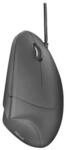 Trust 22885, Trust Verto - Maus (Schwarz)