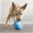 Dog Toy Rewards Ball Large 12cm