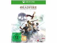 THQ Pillars of Eternity II: Deadfire - Microsoft Xbox One - RPG - PEGI 12 (EU import)