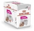 Exigent Wet dog food P&acirc;t&eacute; 12x85 g