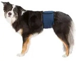 Washable Nappies for Male Dogs S Waist 29-37cm