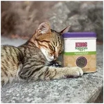 Naturals Premium Catnip 28g