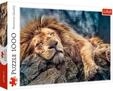Puzzle - Sleeping lion (1000 pieces) 2D Puzzles