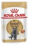 British Shorthair packet 12x85g