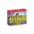 Horse Club Sarahs baby animal care