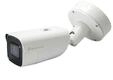 LevelOne FCS-5095, LevelOne FCS-5095 Gemini Zoom IP Camera 8MP H.265