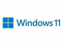 Windows 11 Pro for Workstations Englisch