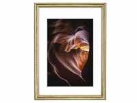 Wooden frame "Phoenix" gold 30 x 40 cm