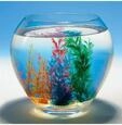 Goki Magic Shell 1pc.