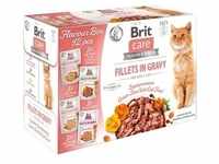 Care Cat Flavour Box - Filets in Soße