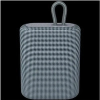 Canyon CNE-CBTSP4DG, Canyon BSP-4 - speaker - for portable use - wireless