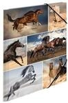 HERMA 19209, HERMA 3-flap folder - for A4 - horses