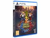 Double Dragon Gaiden: Rise of the Dragons - Sony PlayStation 5 - Fighting -...