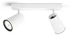 Philips PAISLEY bar/tube white 2xNW