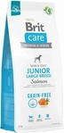 Brit 100-172201, Brit Care Junior Large Breed Salmon - dry dog food - 12 kg