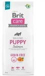 Care Dog Grain-free Puppy Salmon 12 kg