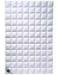Billerbeck Nena Daunendecke Superlight - 200x200cm