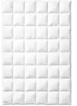 Kauffmann Bavaria Daunendecke medium - 155x220cm