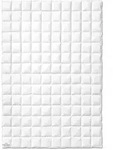 Kauffmann Bavaria Daunendecke leicht - 200x200cm