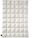 Billerbeck Eiderdaunen Decke Exclusiv No1 Batist-Light - 155x220cm