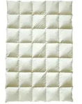 Billerbeck Greta Mono Daunendecke - 200x200cm