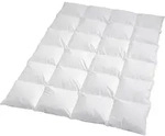 Traumschlaf Daunendecke Arktis warm, F&uuml;llung: 90% Daunen, 10% Federn 155x220 cm -