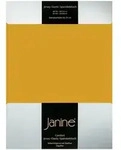 Janine Jersey Elastic Spannbetttuch 140x200 cm - 160x220 cm | honiggold - gelb