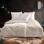 Irisette Mako-Satin Bettw&auml;sche Tokio 8607 135x200 cm + 80x80 cm | natur - beige