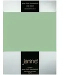 Janine Jersey Elastic Spannbetttuch 140x200 cm - 160x220 cm | lind - gr&uuml;n