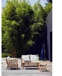 Gartensessel Fred aus Teakholz, Boho Stil, natur braun, inkl. wei&szlig;em Kissen, Outdoor