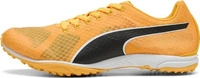 PUMA 311858_01, PUMA evoSPEED Haraka 8 Laufschuhe ohne Stollen Unisex, Schuhe, ,