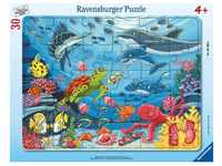 Ravensburger, 30-48 Piece Frame Puzzles, Unten im Meer 30-48p 2647b176d6c1cd47