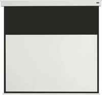 celexon 1000013911, celexon Batterie Leinwand V2.0 Motor Professional Plus 160...