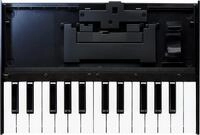 Roland Boutique K-25m 236734