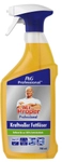 Procter & Gamble Service GmbH Mr. Proper Professional, Kraftvoller Fettl&ouml;ser, HACCP,