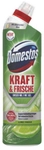 Unilever Deutschland GmbH Domestos WC-Reiniger Kraft & Frische Gel, Hygienischer