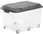 Rotho Kunststoff AG Rotho ROLLER6 Rollbox, 57 Liter, Aufbewahrungsbox mit 6 Rollen,