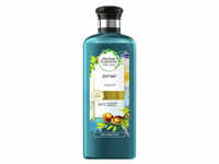 Procter & Gamble Service GmbH Herbal Essences Arganöl Shampoo, Haarshampoo für