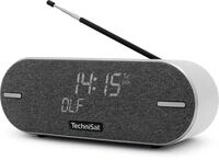 Technisat DigitRadio BT 2 lichtgrau (0001/3973)