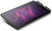 Wacom CINTIQ PRO 17 - Grafiktablett (DTH172K0B)