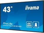 iiyama ProLite LE4341S-B2, Full HD, USB, RS232, Ethernet, Kit (RS232), schwarz 16:9,