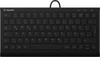 KeySonic KSK-5011ELC (DE) Tastatur USB QWERTZ Deutsch Schwarz (KSK-5011ELC (DE))