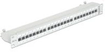 Delock - Patch Panel - RJ-45 X 24 - Hellgrau, RAL 7035 - 1U - 48,3 cm (19)...