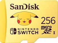SanDisk - Flash-Speicherkarte - 256 GB - Video Class V30 / UHS-I U3 - microSDXC UHS-I