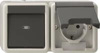 GIRA 417730 Kombi AusWe/SCHUKO waager. K (417730)