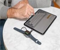 Satechi USB-C Magnetic Fast Charging Cable for Apple Watch (ST-QCAWM)