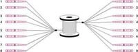 DIGITUS - Kabelpeitsche - LC/UPC Multi-Modus (S) zu LC/UPC Multi-Modus (S) - 50,0m -