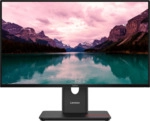 Lenovo ThinkVision T24-40 - 60.5cm (23.8 Zoll) 1.920x1.080 IPS -250cd/m&sup2; - 1500:1
