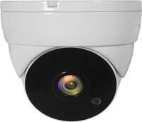 LevelOne ACS-5302 CCTV Sicherheitskamera Innen & Au&szlig;en Kuppel Zimmerdecke (ACS-5302)